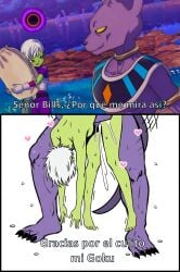 beerus from dragon ball