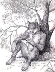 1boy 2011 4_toes 5_fingers animal_genitalia anklet anthro balls barefoot black_nose bracelet canine chain claws closed_mouth collar fully_sheathed fur furry_ears furry_tail grass green_eyes hand_on_leg jewelry male male_only mammal navel necklace nude outdoors pointy_ears scenery selective_color sheath sketch solo tail tatchit tree wolf wood