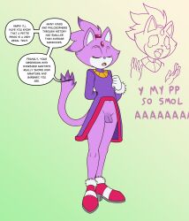 blaze the cat from sega by fours (artist)