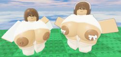 robloxian from roblox by artist request