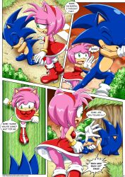 Sonic (Series) Rule 34 Image