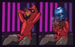 Cardinal (Bird) Rule 34 Image