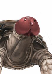 animal anthro artist_request furry fusion male no_humans original penis simple_background solo turtle uncensored what white_background