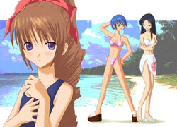 3girls beach bikini blush bow breast_envy breasts female female_only kiryuu_mimori multiple_girls one-piece_swimsuit open_shoes sarong scheris_adjani school_swimsuit scryed string_bikini swimsuit water yuuta_kanami