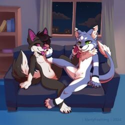 1:1 absurd_res anthro anthro_on_anthro black_body black_fur black_hair black_tail blue_body blue_fur bookshelf canid canine crotch_tuft duo fangs featureless_crotch feet foot_fetish foot_on_face fur furniture glistening glistening_eyes green_eyes hair hi_res inner_ear_fluff inside male male/male mammal martinballamore night nude open_mouth purple_eyes purple_inner_ear_fluff purple_nose purple_tongue short_hair tail tail_tuft teeth tongue tuft white_body white_fur white_tail window
