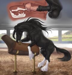2024 animal_genitalia animal_penis balls black_balls black_body black_fur black_mane black_penis black_sheath black_tail breeding_mount brown_eyes dated equid equine equine_genitalia equine_penis erection feral fur genitals hi_res horse inside male mammal mane open_mouth penis pink_penis rufciu sheath side_view signature solo tail teeth vein veiny_penis white_body white_fur