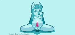 1boy animated anthro blue_fur buryingbeetle canine chubby digital_media_(artwork) dildo furry male male_only mammal masturbation nipples nude open_mouth penis pixel_art precum sex_toy testicles text timbywuff url watermark