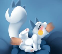 2016 animated blush cum cum_in_mouth cum_in_pussy cum_inside cum_while_penetrated darkmirage disembodied_penis fellatio female fur furry group group_sex inflation male nintendo oral pachirisu penetration penis pokémon_(species) pokemon pussy sex size_difference spitroast stomach_bulge vaginal_penetration video_games