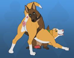 admiring anatomically_correct anatomically_correct_genitalia anatomically_correct_penis anatomically_correct_vulva animal_genitalia animal_penis animal_vulva anus ass_up balls bandanna_scarf bodily_fluids butt canid canine canine_genitalia canine_penis canine_vulva canis collar domestic_dog facial_scar feral floppy_ears genital_fluids genitals hi_res hug mammal penis precum presenting presenting_hindquarters raised_tail scar sheath simple_background tail tongue tongue_out twistedewe vulva