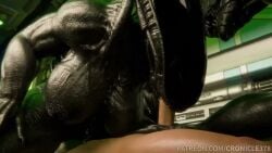 1boy 20th_century_fox 20th_century_studios 2girls 3d alien alien_(franchise) alien_girl animated big_ass big_breasts blowjob bouncing_ass bouncing_breasts breedable_hips creampie cronicle_(artist) cum cum_in_pussy cum_inside cunnilingus eating_pussy facesitting fellatio female_humanoid female_xenomorph hissing huge_ass huge_breasts human_on_alien human_on_humanoid humanoid interspecies interspecies_creampie large_ass large_breasts larger_female mesmerizing_ass moaning muscular_female nude nude_female smaller_male sound tagme thick_ass thick_thighs threesome vaginal vaginal_insertion vaginal_penetration vaginal_sex video xenomorph xenomorph_queen