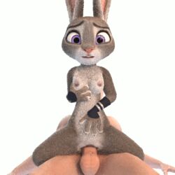 2016 3d animated anthro balls breasts disney duo erection female girl_on_top grey_fur human judy_hopps lagomorph long_ears looking_at_viewer machv99 male mammal nipples nude open_mouth penetration penis purple_eyes pussy rabbit sex simple_background small_breasts straight vaginal_penetration zootopia