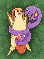 animal_genitalia animal_penis arbok artist_name avian beak bird cloaca cobra coiling cyadical duo eye_contact feathered_wings feathers female feral feral_on_feral folded_wings generation_1_pokemon genitals grass hi_res horizontal_cloaca interspecies looking_at_another male male/female nintendo open_beak open_mouth penis pidgeot plant pokemon pokemon_(species) reptile scalie smile snake tail tail_feathers tapering_penis tapering_tail text wings