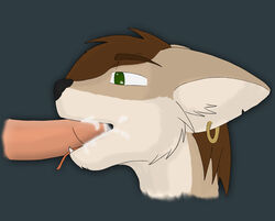 anthro canine cum cum_in_mouth cum_inside cum_on_cheek disembodied_head disembodied_penis duo ear_piercing jake_willow lyk male mammal oral penis piercing simple_background wolf yaoi