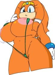 tikal the echidna from sega by cassettedream