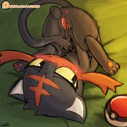 litten from nintendo by lumineko