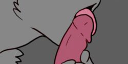 ambiguous_gender animated anthro close-up disembodied_penis duo felineelement fur grey_background grey_fur grey_theme hand_on_penis holding_penis licking male male/ambiguous mammal open_mouth oral penis penis_lick sex simple_background solo_focus tongue tongue_out