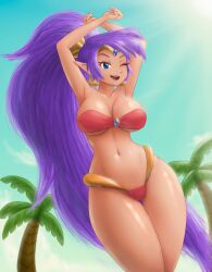 1girls female safartworks shantae shantae_(character) solo solo_female tagme