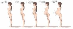 1girls belly big_belly breasts brown_hair female koones nipple_piercing nipples nude pregnancy_progression pregnant sequence