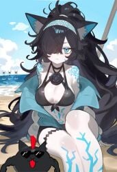 1girl beach bikini black_hair black_hair_female ebora epicfest_(the_battle_cats) female hair_over_one_eye kasli_the_bane killer_cat long_hair long_hair_female nyanko_daisensou swimsuit tagme the_battle_cats white_skin youngmanisdown