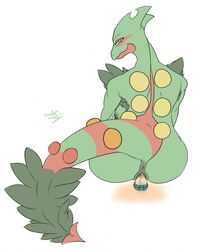 anus ass breasts cock_ring female male mega_evolution mega_sceptile nintendo nipples penetration penis pokemon pokemon_(species) pussy sceptile somewhatsketchy straight vaginal_penetration video_games