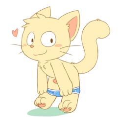 blush character_request clothing feline male male_only mammal oob penis simple_background solo underwear