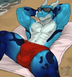 abs amphibian anthro beach beach_towel bulge clothing dragon eyewear frog gaku genital_outline hand_behind_head hi_res horn hybrid male markings muscular mythological_creature mythological_scalie mythology navel nipples panpy_draws presenting scalie sea smug solo sunglasses towel underwear water