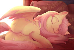 absurd_res anus ass bed closed_eyes cutie_mark dock equine evehly feathered_wings feathers female feral fluttershy_(mlp) friendship_is_magic fur hair hi_res inside long_hair lying mammal my_little_pony on_bed on_side pegasus pink_hair pussy pussy_juice sleeping smile solo wings yellow_fur