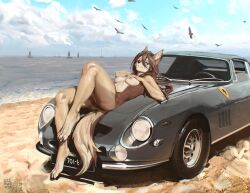 ambient_bird anthro artistic_nude beach breasts canid canine car czerwonya detailed_background female genitals hi_res lying mammal nipple_piercing nipples nude on_back pussy solo vehicle