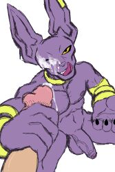 after_orgasm anthro balls beerus boner cum cum_on_face dragon_ball dragon_ball_super dragon_ball_z erection feline feline flaccid foot_ninja15 furry gay handjob male male_only nude one_eye_closed penis purple_body purple_skin