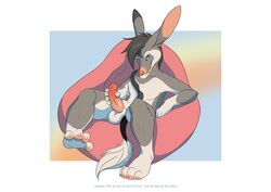 anthro balls bean_bag bilby erection felix_(mojavecoyote) forbiddenvixen male nude penis smile