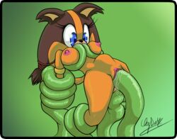 sticks the badger from sonic (series) by claydust