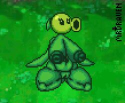 Peashooter (Pvz) Rule 34 Video
