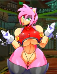 amy rose from sega by randomgloves