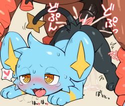 2026 3_fingers anal anal_sex animal_genitalia animal_penis arched_back arm_tuft ass_up balls big_balls big_ears black_body blue_body blush blush_lines bodily_fluids breath cum cum_drip cum_inside cum_pool doggy_style dripping duo ejaculation emanata equid equine equine_genitalia equine_penis erection felid feral fingers from_behind_position front_view generation_4_pokemon generation_7_pokemon genital_fluids genitals glistening glistening_body heart_symbol hi_res japanese_text looking_pleasured male male/male mammal motion_lines mudsdale multicolored_body narrowed_eyes nintendo open_mouth orange_eyes penetration penile penile_penetration penis penis_in_ass pokemon pokemon_(species) rear_view red_body saggy_balls saliva saliva_string sex shinx simple_background size_difference speech_bubble spiral spiral_eyes star_tipped_tail striped_body stripes sweat text tororoudn tuft vein veiny_penis