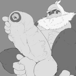 almost_fully_inside anthro anthro_pred balls belly big_balls big_penis body_outline cock_vore duo erection feet_first foot_on_own_balls forced foreskin fur generation_3_pokemon genitals grey_background greyscale hand_feet hi_res holding_penis huge_balls huge_cock human human_prey humanoid_genitalia humanoid_penis hyper hyper_balls hyper_genitalia hyper_penis larger_pred licking licking_lips licking_own_lips male male/male male_pred mammal monochrome nintendo nude_pred open_mouth pandottermon penile penis pokemon pokemon_(species) simple_background size_difference slaking teeth tongue tongue_out unwilling_prey uvula vein veiny_penis vore willing_pred