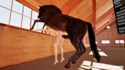 1animal 3d 3d_animation animal_genitalia animal_penis aroused aroused_male balls ballsack barn beast beastiality belly belly_bulge big_balls big_penis bigger_male bigger_penetrating_smaller breasts breed breeding bulge bulging_belly cock deep_penetration equine equine_balls equine_genitalia equine_penis erect_penis erection extreme_penetration female female_penetrated feral feral_focus feral_on_female feral_on_human feral_penetrating feral_penetrating_human focus_on_penis fucked_from_behind game game_cg gameplay genitals hanging_balls hardcore horse horse_penis horseballs horsecock huge_balls huge_cock large_balls large_penis male male/female mammal medial_ring mount mounted mounting nude nude_female original original_character penis pussy side_view size_difference smaller_female smaller_penetrated standing tail vagina vaginal_insertion vaginal_penetration vaginal_sex veiny_penis video_game video_game_character video_games vrstallion zoophilia