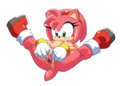 amy_rose anus breasts coolblue exposed_torso female footwear fur furry furry_only handwear legs_up masturbation mostly_nude naked nipple nude panties pussy sonic_(series) spread_pussy tail wristwear