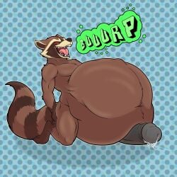 anthro belch belching belly big_belly brown_body brown_fur burp burp_cloud burping cum digestion erection fur furry genitals guardians_of_the_galaxy hi_res leaking leaking_cum leaking_precum male male_only male_pred mammal marvel open_mouth ottosanchez penis prey_bulge procyonid raccoon red_eyes rocket_raccoon same_size_vore smaller_pred vore vore_belly