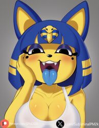 Ankha (Animal Crossing) Rule 34 Image