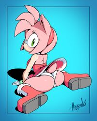 amy rose from sonic (series) by argento