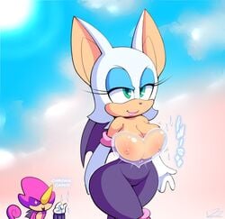 2d anthro big_areola big_nipples bluebreed bouncing_breasts breasts color espio_the_chameleon female large_breasts male malfunction mobian mobian_(species) mobian_bat nipples rouge_the_bat see-through see-through_clothing sega solo_focus sonic_(series) sonic_adventure_2 sonic_the_hedgehog_(series) standing transparent transparent_clothing wardrobe