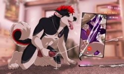 against_surface amethyst_ring anal anal_sex animal_genitalia animal_penis anthro anus ass ball_tuft balls bedroom bite biting_lip black_body black_claws black_fur black_nails black_nose black_piercing blush bodily_fluids breath cal_(caliro) canid canine canine_genitalia canine_penis canis claws closed_eyes colored_nails cuckold cum cum_inside cum_on_ground cum_on_knot cum_on_phone cum_while_penetrated curled_tail dialogue domestic_dog duo ear_piercing electronics erection erection_while_penetrated facial_piercing fox fur genital_fluids genitals grey_body grey_fur grey_nose hair hand_on_chest hand_on_side heart_symbol hi_res highlights_(coloring) holding_jewelry holding_object husky industrial_piercing inside jewelry kneeling knot lawkie lawkie_(character) lip_piercing looking_back male male/male male_penetrated male_penetrating male_penetrating_male mammal masturbation matching_rings moan mohawk multicolored_body multicolored_fur nails necklace nordic_sled_dog nude open_mouth paws penetration penis phone phone_screen phone_view piercing pink_penis purple_body purple_fur purple_hair red_hair red_penis ring ruby_ring sebastian_the_husky sex sheath silver_ring snakebite_piercing spitz tail teeth tongue tongue_out tuft video_call voyeur white_body white_fur white_hair