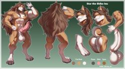 2025 abs absurd_res animal_genitalia animal_penis anthro balls butt canid canine canine_genitalia canine_penis canis digitigrade domestic_dog erection foreskin genitals hair hi_res humanoid_genitalia humanoid_penis knot long_hair luiixury luiixury_art male mammal model_sheet muscular muscular_anthro muscular_male nude pecs penis plantigrade shiba_inu solo spitz star_the_shiba_inu