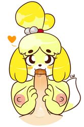 :3 animal_crossing anthro areolae blush breasts canine fellatio female furry heart isabelle_(animal_crossing) large_areolae looking_at_viewer male nintendo nipples oral penis pov quackmeister saliva straight year_request yellow_fur