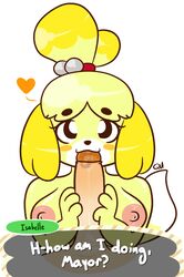 animal_crossing anthro areolae blush breasts canine dialogue english fellatio female furry heart isabelle_(animal_crossing) large_areolae looking_at_viewer male nintendo nipples oral penis pov quackmeister saliva straight year_request yellow_fur