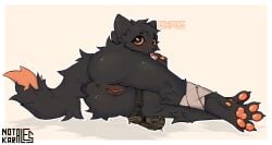 anthro anus aroused bandage bandaged_leg big_butt big_pawpads big_tail black_body black_eyes black_fur blush bodily_fluids butt canid casualties:_unknown circle_eyebrows claws digital_drawing_(artwork) digital_media_(artwork) dipstick_tail expie_(gunsawian) eyebrows feet female fluffy fluffy_tail fur genital_fluids genital_focus genitals glistening glistening_pawpads gunsawian hi_res hip_bag hybrid in_heat looking_back mammal markings murid notkarales nude_anthro orange_blush orange_pawpads orange_sclera orange_vulva pawpads presenting rodent shaded simple_background solo spread_toes tail tail_markings thick_thighs toe_claws toes tongue tongue_out vaginal_fluids vulva wide_hips