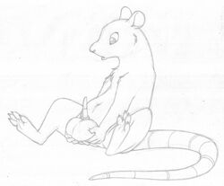 1boy animal_genitalia anthro balls big_balls erection greyscale holding_balls long_tail looking_at_self looking_down male male_only mammal mizzyam monochrome pencil_(artwork) penis rat reclining rodent semi-anthro sheath sitting solo tapering_penis traditional_media_(artwork)