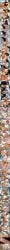 1boy 2girls ai_assisted ai_generated angry bath big_ass big_breasts big_penis blonde_hair blowjob choking cleavage clothed_female clothed_female_nude_female cock_shock comic covered_in_cum crying cum_in_mouth cum_in_pussy cum_inside cum_slut cumdrip cumdump cunnilingus daddy doggy_style dominant_female dominant_male dripping eating_pussy face_fucking female_on_female female_only femdom fingering fishnet_legwear fishnets forced free_use french_kiss fucked_into_submission fucked_senseless fucked_silly glasses gloves groping groping_breasts hairy hairy_pussy hardcore huge_breasts huge_cock huge_cumshot humiliation hypnosis hypnotized indoors kalifa kalifa_(one_piece) kissing kneeling large_breasts large_penis latex lesbian lesbian_kiss lesbian_sex licking licking_nipples lying lying_on_back masturbation mistress motion_lines nami_(one_piece) nipples nude_female on_floor one_piece pubic_hair raped_female rough_sex saliva sanji_(one_piece) scared sex sex_from_behind sex_slave shocked short_hair speech_bubble standing steam stockings story submissive_female surprised sussychan sweat talking_to_another talking_to_viewer tears text tight_clothing undressing veiny_penis wet_pussy