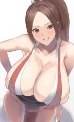 artist_request asian asian_female fatal_fury fighter huge_breasts king_of_fighters looking_at_viewer mai_shiranui snk tagme