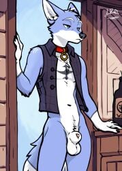 aethylwyne animal_genitalia anthro balls blue_body blue_fur canid canine clothing collar fox fur genitals hand_on_doorframe hi_res male male_only mammal sheath solo standing standing_in_doorway thelionronan topwear vest white_body white_fur